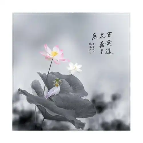 写意荷花班第二期第二节水墨荷花影友的习作