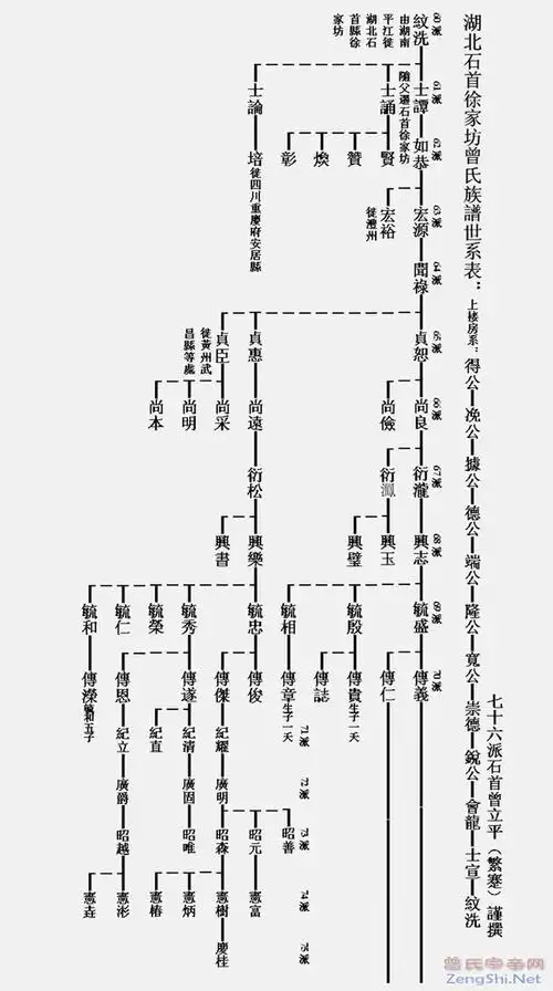 武城曾氏世系线图谱