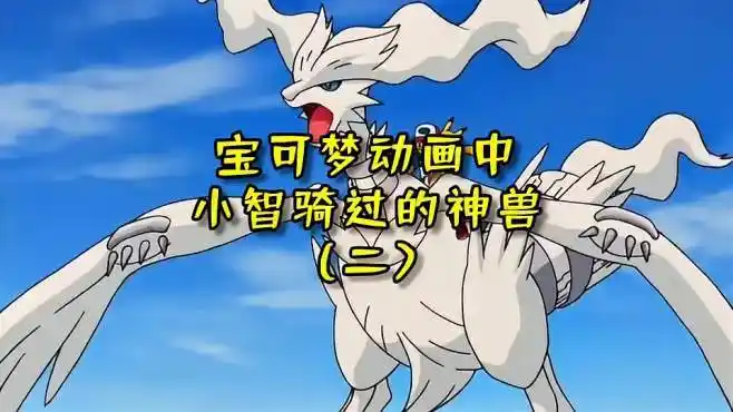 小智骑过的神兽大盘点.精灵宝可梦 神奇宝贝 宝可梦