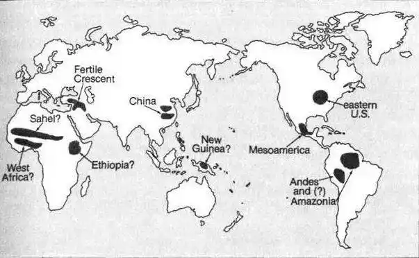 十年后重读枪炮病菌与钢铁有什么收获