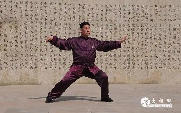 张殿成:多角度认识太极拳的运动规律