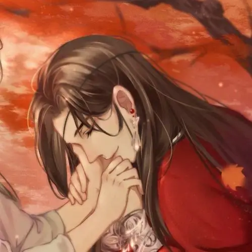 天官赐福79情头79花怜79自截