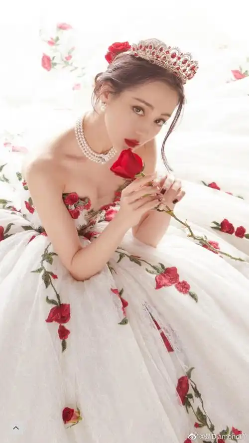 迪丽热巴乔晶晶玫瑰公主