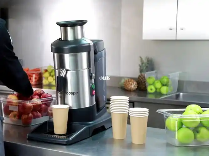 法国原装进口乐巴托robot coupe j100 蔬果榨汁机j100 ultra 蔬果榨汁