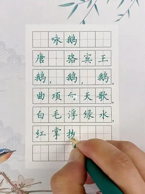 硬笔书法  #练字  #见字如面  #鹅鹅鹅  #每日练字打卡