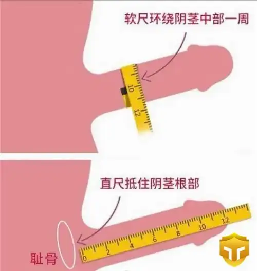 享巴巴效果好不好如何正确测量丁丁