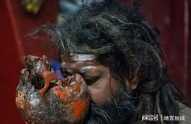 印度"食尸族",生吃腐尸和排泄物,痛饮恒河水,他们寿命有多长_网易订阅