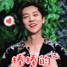 棒棒的鹿晗帅气明星gif动图_动态图_表情包下载_soogif