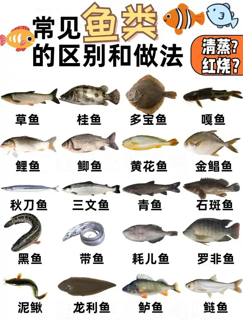常见鱼类的区别和做法95附种类丨肉质特点.