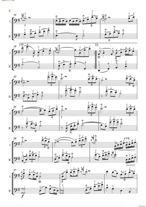 鸿雁大提琴二重奏多把位版