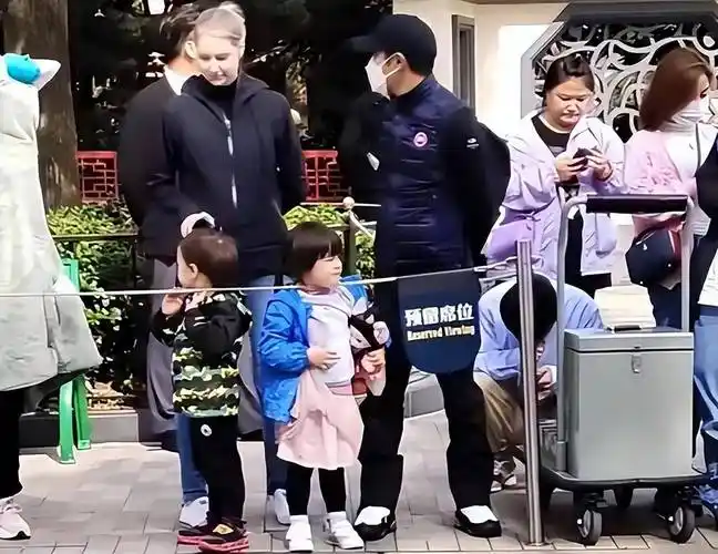 撒贝宁一家四口游迪士尼,龙凤胎儿女正面照曝光,混血儿就是漂亮!