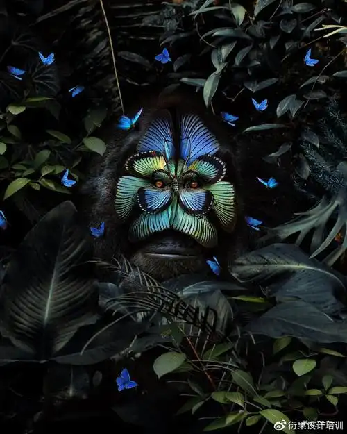 ps软件p图合成可以这么好玩