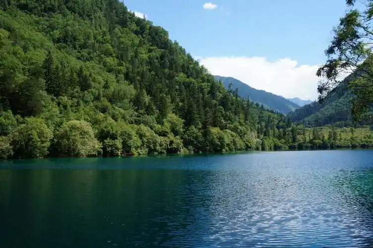 阿坝之旅,有一种绿叫九寨沟绿图片197,四川省旅游景点,风景名胜 - 蚂