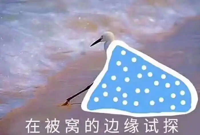 在被窝的边缘试探 - 一波斗图必备表情包_斗图表情