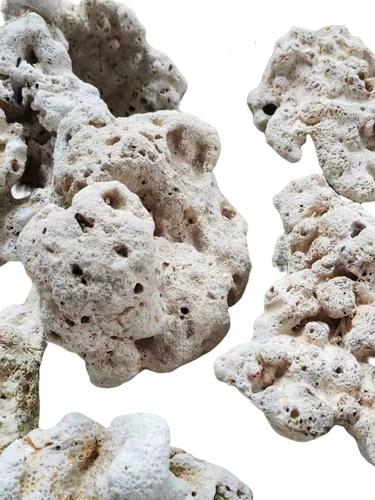 天然珊瑚石死石活石造景海水鱼缸三湖慈鲷造景材料免爆藻快速开缸