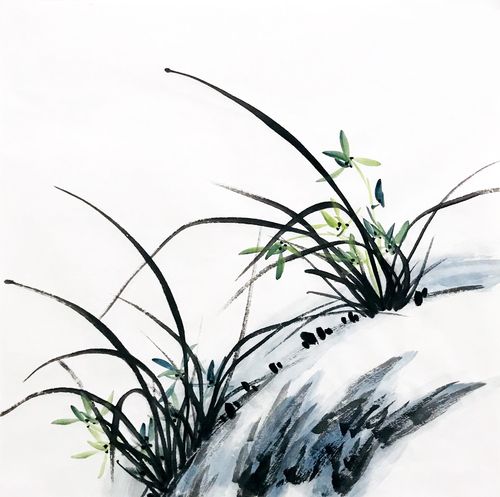 水墨兰花手绘3693三尺斗方无款墙画挂画名家中式装饰玄关宣纸画芯