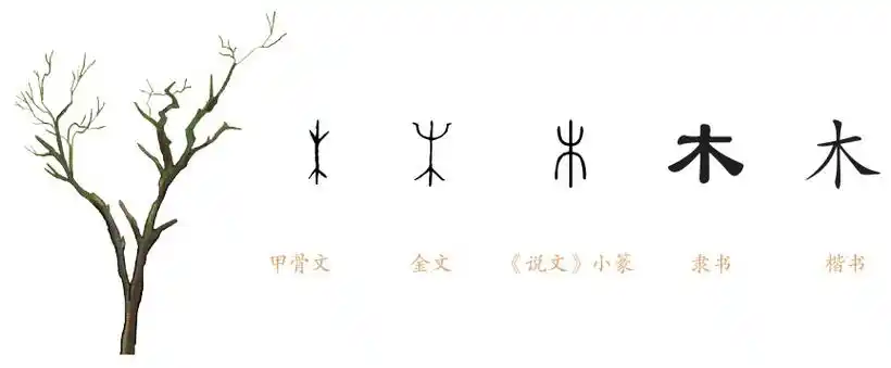 第一个字,是甲骨文中的"山",画出了高耸入云的山峰.