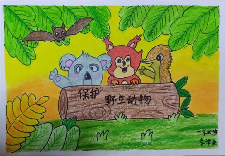 保护野生动物—盘锦市实验小学的学生们在行动