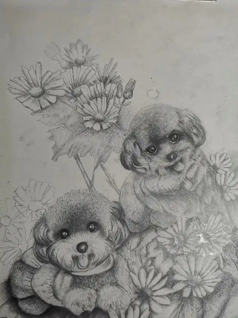 手绘素描画《小可爱泰迪犬》#愿晨起的阳光伴随你愉悦的每一天  - 抖