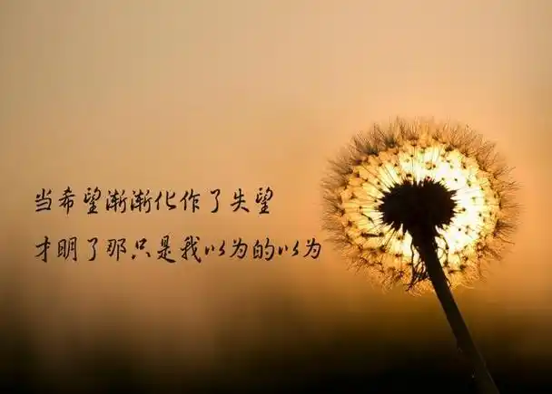 心情说说:最伤感的事不是失去,而是努力珍惜过后的离去