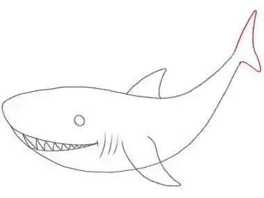 3-6岁的儿童小朋友最喜欢海洋生物简笔画了,今天给大家分享一个画鲨鱼