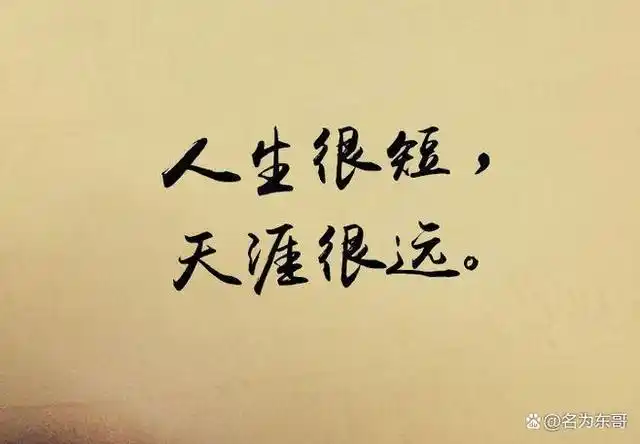 先看淡生死,再谈人生的意义,或许会有所感悟?