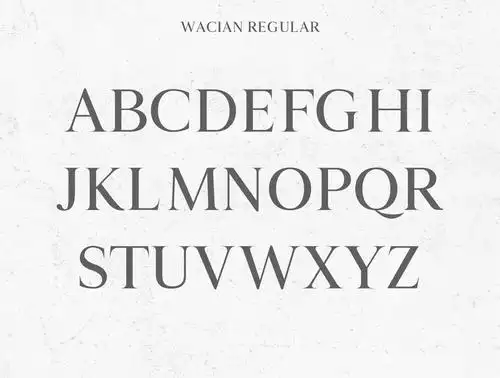 独特的现代5重量衬线字体,基本字形和非英文字符.