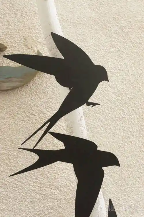 鸟的影子反射在房子的墙上