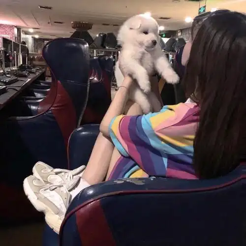 超非主流的qq女生头像