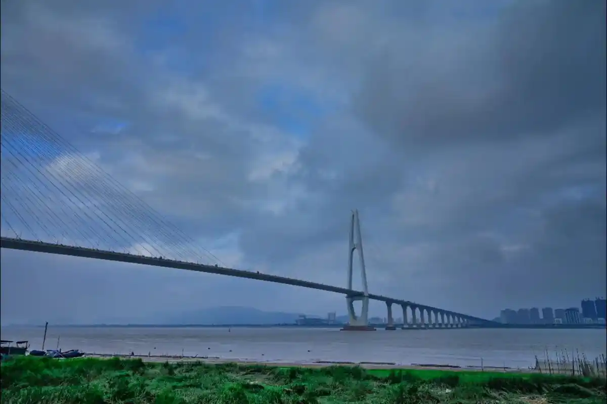 桥.董卿写过一段话 无论我们最后生疏成什么样子 曾经对你的好 - 抖音