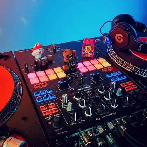 有没有看到过墨镜打碟玩音乐的布朗熊?这只beat brown堪称最有个性!