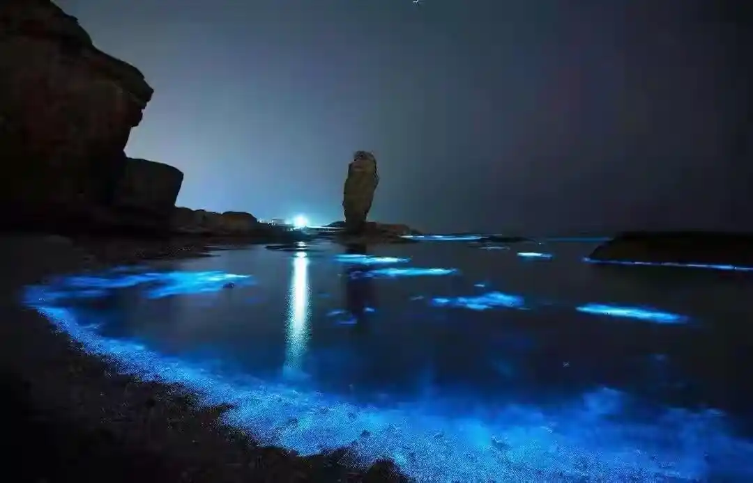 福建平潭蓝眼泪,这也太漂亮了吧!