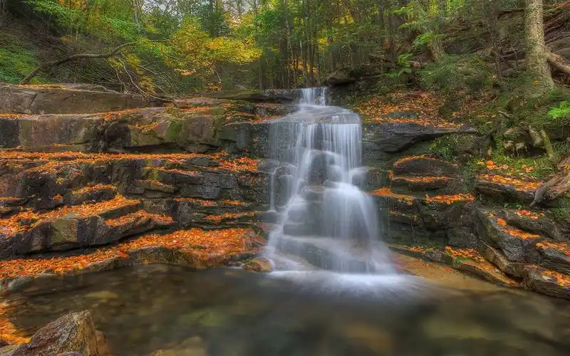 首页 自然和风景 秋天 森林,树木,秋天,岩石,瀑布,小溪 壁纸 / 1280x