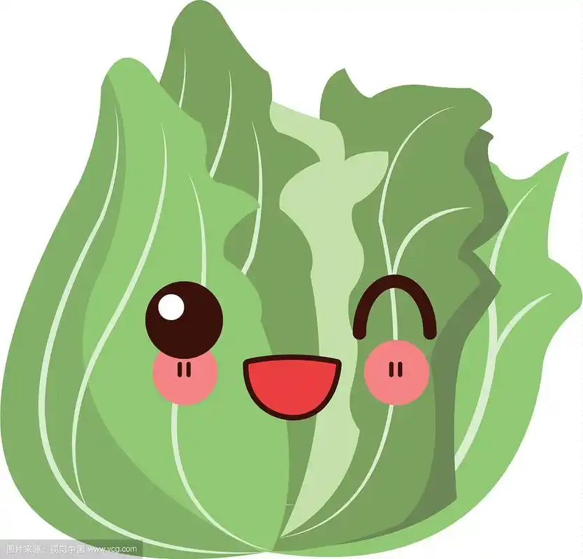可爱的生菜蔬菜新鲜食品形象