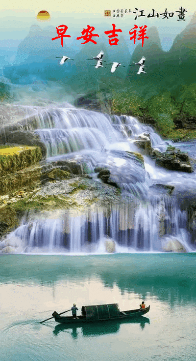 422_774竖版 竖屏gif 动态图 动图