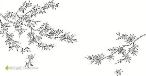 枫叶铅笔素描简笔画