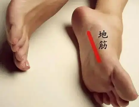 脚底有一根"地筋",越硬病越多!肝不好的人一定要揉开它!
