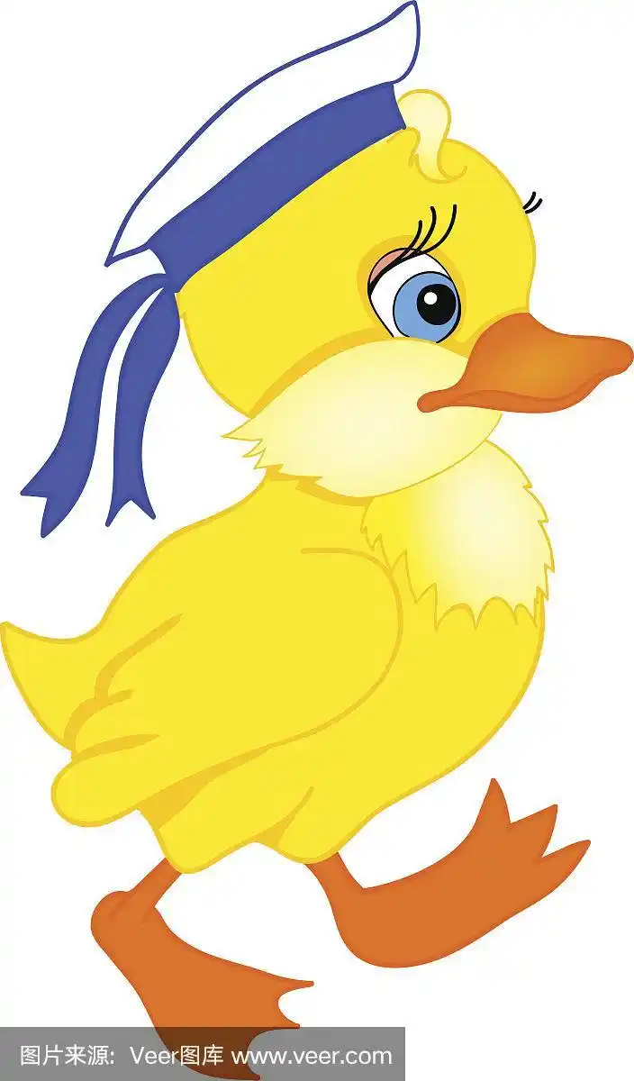 小鸭子,动画片,小的,白色背景,寂寞