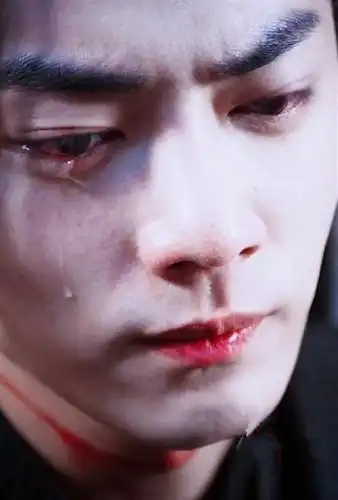 哭起来好看的男子:司凤心疼,蓝湛绝美,看到他:我的心跟着碎了