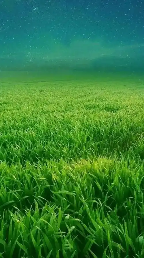 绿色壁纸保护视力,有绿色护眼系列的手机壁纸吗(绿色护眼壁纸美图)