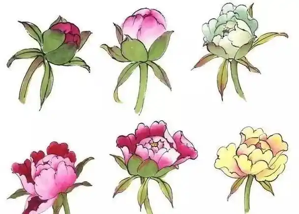 牡丹花头和花叶的三十种画法,学画牡丹不用愁!