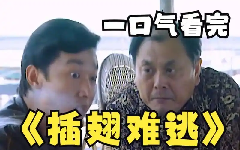 一口气看完整部剧系列:《插翅难逃》快速搞钱的教科书!贼王张世豪