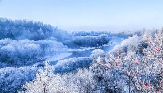 【旅游资讯】以雪为信,龙江冰雪风光致你一封冬日情书