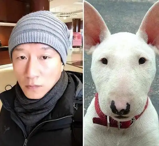 回顾:10位撞脸动物的明星王一博还能忍,看到易烊千玺简直是神似