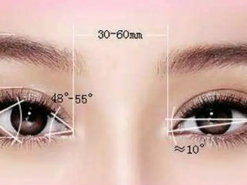 氧气姐 桃花眼到底长什么样你知道吗?