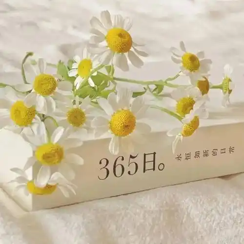 文艺清新朋友圈封面图