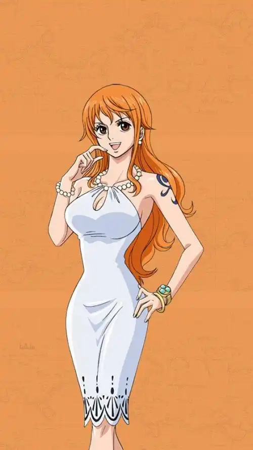 海贼王之神娜美