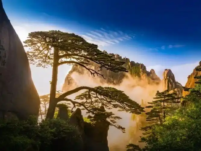 中国最美的火车线路,有着10大世界之最(中国沿途风景最美的火车)-380