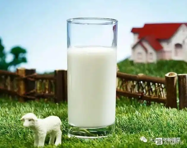 中国最好羊奶第一名你喝过吗