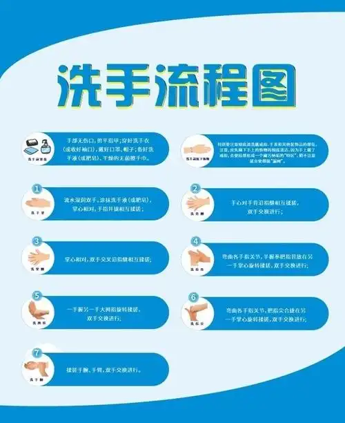 洗手流程图挂图图片